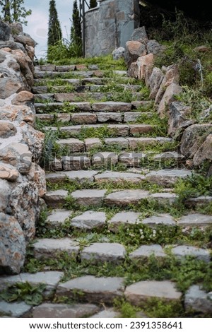 Stone staircase leading upstairs. Grass grows from stone. Royalty-Free Stock Photo #2391358641