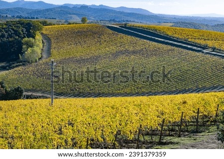 hills and colorful forests in autumn in Tuscany