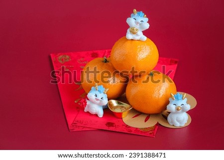 Happy New Year Chinese of the dragon 2024. Mandarin orange,rabbit on red envelopes isolated on red background. The word inside picture means blessing.