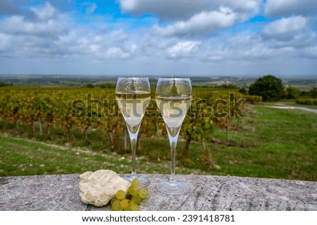 Tasting of grand cru sparkling white wine with bubbles champagne on chardonnay vineyards in Avize, Ay grand cru wine producer small village, Cote des Blancs, Champagne, France Royalty-Free Stock Photo #2391418781