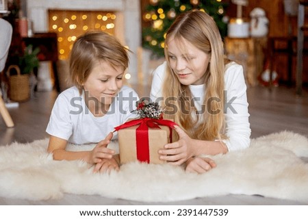 Preteen child, cute kid in studio for Christmas, xmas pictures with decorated cozy home, siblings