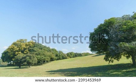Japanese park scenery.Beautiful grassland and blue sky.