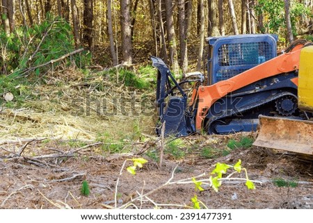During clean forest contractor used tracked general purpose vehicles equipped with forestry mulchers Royalty-Free Stock Photo #2391477391
