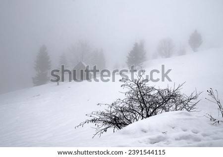 Fog in the mountains in winter. Selective focus. Blurred background.