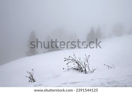 Fog in the mountains in winter. Selective focus. Blurred background.