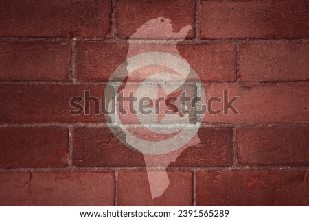 painted map and flag of tunisia on a old brick wall