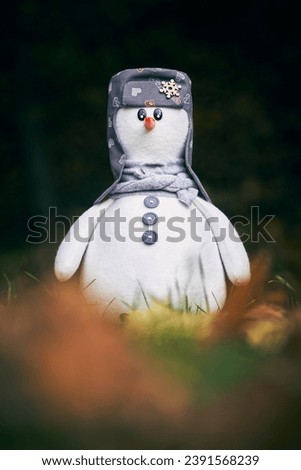  Snowman on the leafs Slovakia              