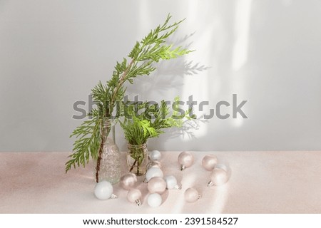 Cypress branches in transparent vases with Christmas decorations on light pink table. Bouquet with evergreen spruce in natural sunlight with shadows on wall background. Minimalist Christmas decor