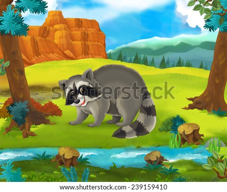 Cartoon scene - wild america animals - raccoon - illustration for the children