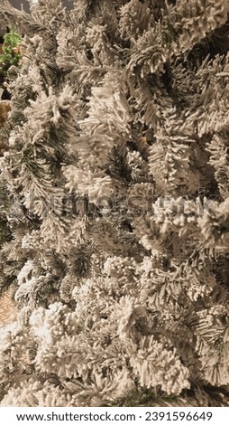 Decorate the Christmas tree with white snow clinging to it in a blurry photo.  Myrealholiday