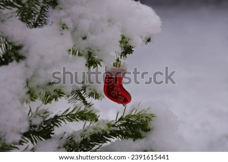 Christmas stocking on a snow-covered fir branch for a greeting card.