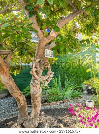 Photograph of a wrinkly tree in a yard with a rustic wreath and garden sign surrounded by leafy green plants pink flowers and sunshine