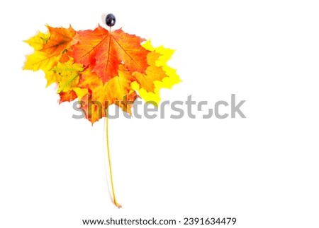 Creative composition featuring an umbrella made of autumn leaves against a pristine white backdrop, topped with a berry resembling a raindrop. Fall season related concept.