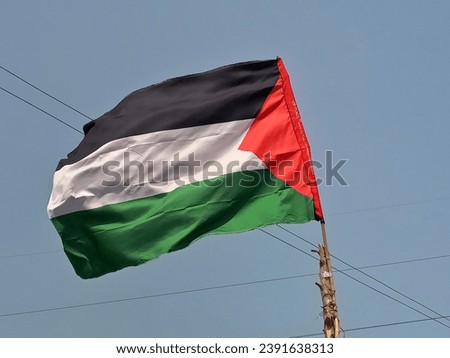 The waving Palestine flag is displayed on a wooden pole against a blue sky.