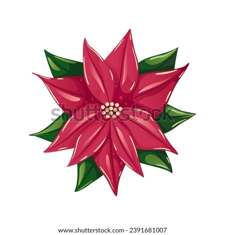 Poinsettia flower vector illustration, bright red Christmas flower with leaves isolated on white background. Decorative detailed element for holiday patterns, wreathes, frames, packaging, designs
