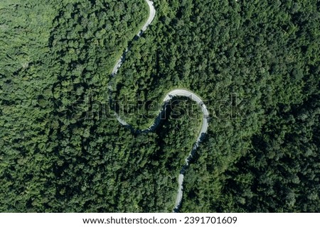 Aerial view of road in the middle of the forest in rainy day in spring, Beautiful travel road curve construction up to mountain roadway and trees, landscape with green foliage in empty asphalt road.