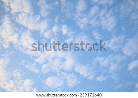 Sunset Sky Background  ,beautiful blue sky with white cloud 