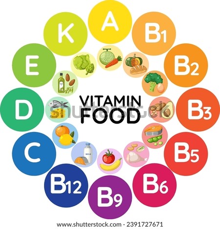 Illustration of different food groups categorized by their vitamin content
