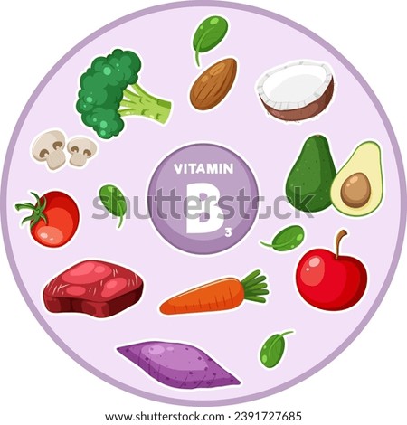 Illustration of a variety of vitamin B3-rich foods and vegetables