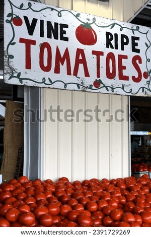 Colorful sign and display of vine ripe tomatoes for sale at a farmer's market