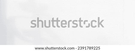 Abstract blurred background. The shadow reflection of leaves and gray light lines. on the white surface concrete wall. for wallpaper, backdrop and design.