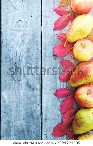 apples, pears and autumn leaves on wooden background. Autumn background.
