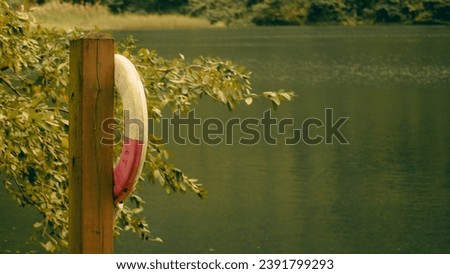 photo of Hualien Liyu Lake swan boat