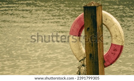 photo of Hualien Liyu Lake swan boat