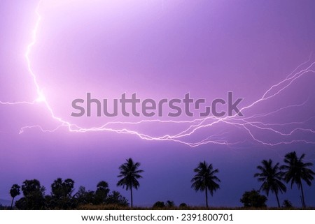 Witness the breathtaking beauty of a purple sky illuminated by dazzling lightning bolts. Let your imagination run wild amidst the swaying palm trees.
