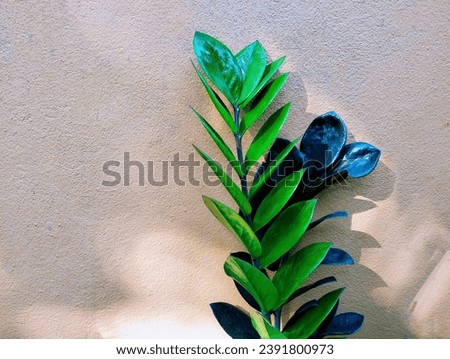 The background picture is an orange cement wall with light and shadow shining down on the trees decorated in two colors: light green and purple leaves. The leaves are round and oblong with alternating