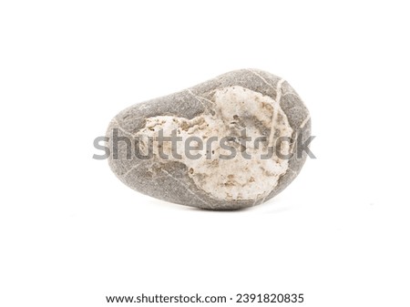 Smooth sea striped stone isolated on white background 