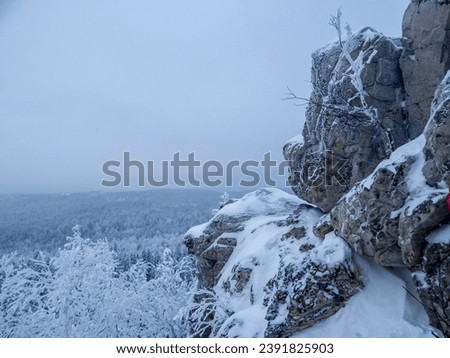 Trees and stones in the winter forest. Beautiful view on mountain on cloudy day