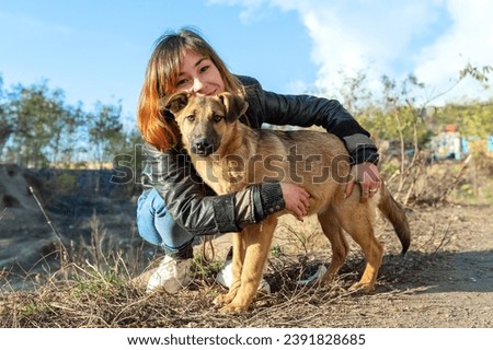 Dog at the shelter. Animal shelter volunteer takes care of dogs. Animal volunteer takes care of homeless animals. Royalty-Free Stock Photo #2391828685