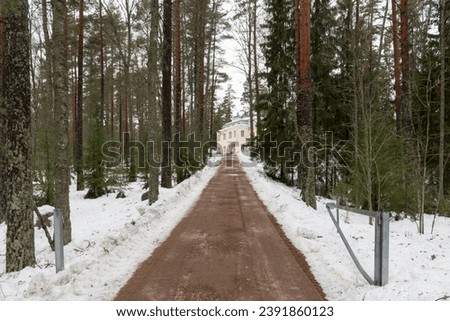 Finnish forest in winter. Espoo, Finland.