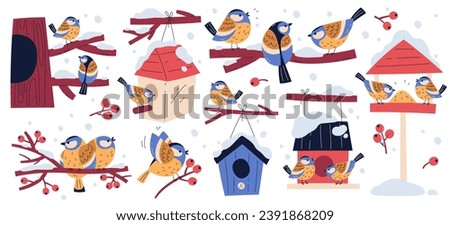 Tits wintering birds sitting on tree branch, eating berries and seeds in hanging feeders isolated set vector illustration. Beautiful feathered woodland characters living and caring during wintertime