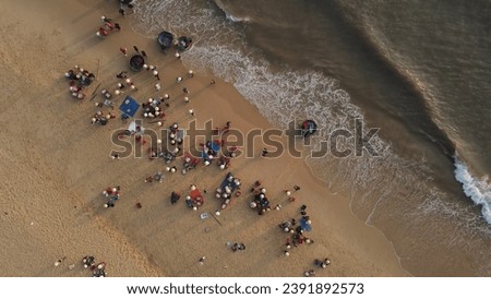 Aerial photo of the beach with fishermen collecting fish from the boat onto the sandy shore. Topshot photo
