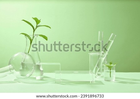 Product presentation platforms with laboratory concept. Fresh green tea leaves with flasks, beaker, test tubes and glass podiums decorated on green background. Advertising photo