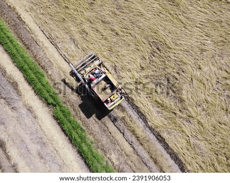 Rice harvester, agricultural machinery is working in the rice field. Aerial photography