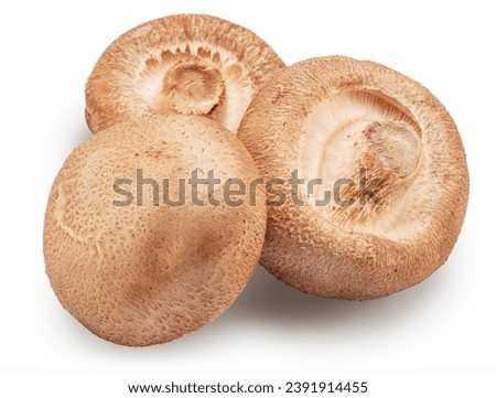 Shiitake - edible asian mushrooms isolated on white background. File contains clipping path. Royalty-Free Stock Photo #2391914455