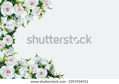beautiful spring flowers on a white background