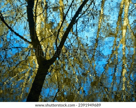 Spring evening, a light breeze slightly agitated the surface of the river, the reflection of the trees on the surface of the water was distorted, creating a beautiful natural abstract picture