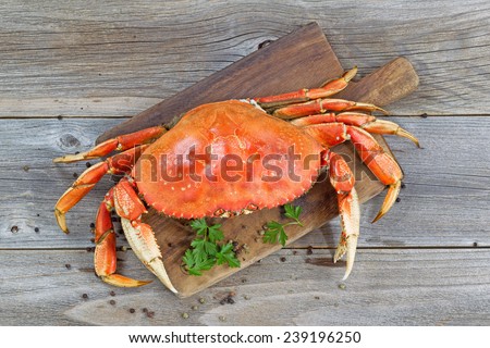Top view of a steamed Dungeness crab on wooden server board with herbs and spices ready to eat.  Royalty-Free Stock Photo #239196250
