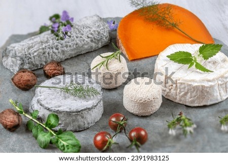 Selection of various different types of cheese. Tasty and fresh cheese