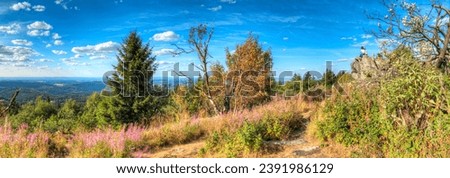 Panoramic view of the Hintertaunus in Hesse with horizon and vegetation in the foreground in summer weather and light cloud cover from the summit of the Großer Feldberg, highest mountain in the Taunus