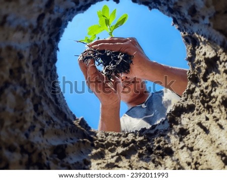 Plant tree seeds in low angle soil holes.  Gardening and planting trees or seedlings in fertile soil.  Cultivation of plants on agricultural land.  the concept of reforestation and abrasion prevention Royalty-Free Stock Photo #2392011993