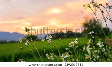 nature,nature background,nature landscape,nature vector,nature pattern,natural,natural beauty,natural background,natural food,natural gas,natural landscape,natural landscape in forest beautiful view
