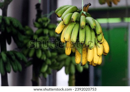 Ripe banana hanged in a fruit stall for sell Royalty-Free Stock Photo #2392020753