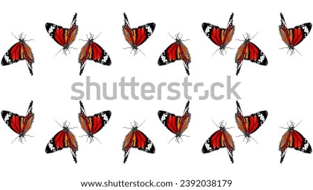 Seamless pattern of black and red butterflies on a white background. Photography.