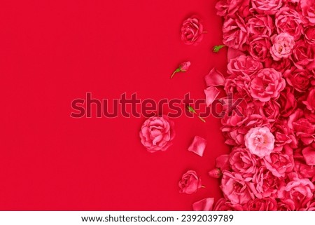 Red roses pattern background for design of invitation, greeting card, valentine, wallpaper. Royalty-Free Stock Photo #2392039789