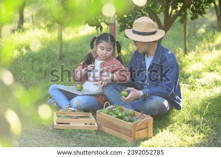 Farmer brother and cute little girl have fun picking oranges in the orange farm on holiday.